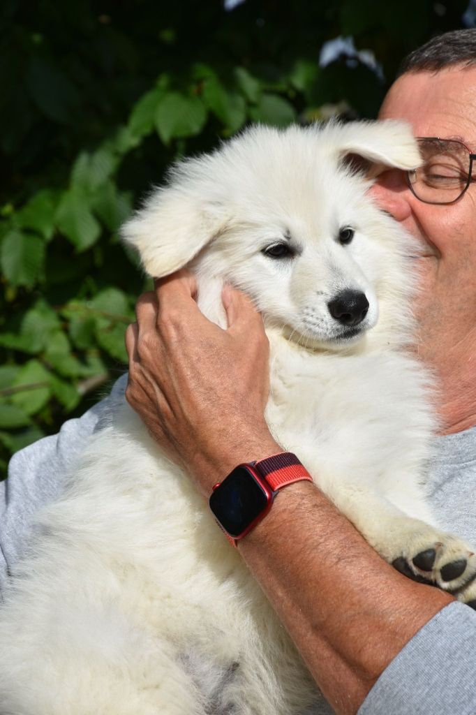 Tia Des Loups De Normandie