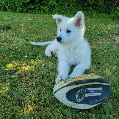 Atlas Ar Bleiz Gwenn